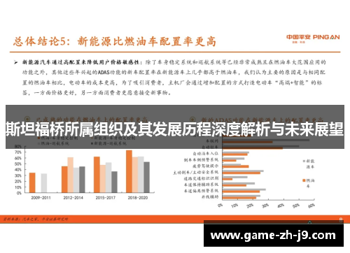 斯坦福桥所属组织及其发展历程深度解析与未来展望